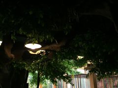 -御池园(顾村公园店)