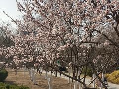 -南翠屏公园