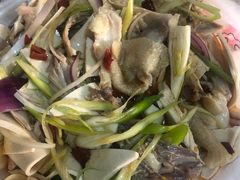 -马黑哥椒麻鸡(清江山水店)