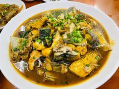 -全乐鱼馆·淳牌有机鱼直营店