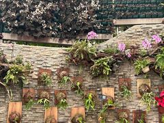 -石家庄市植物园