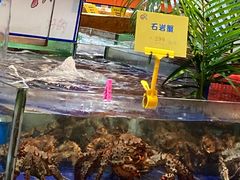 水产区-79号渔船海鲜饭店(华强北店)