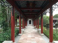 -顺峰山公园