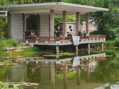 -国家植物园南园