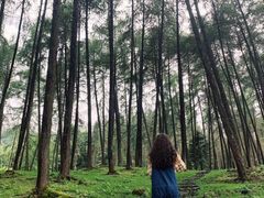 -硗碛藏寨·神木垒景区