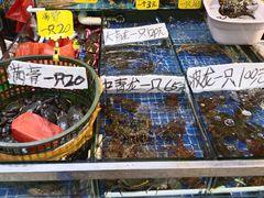 -厦门轮渡码头