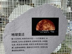 -徐家汇书院