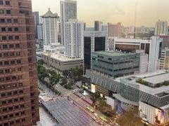 -新加坡乌节希尔顿酒店 (SG Clean)