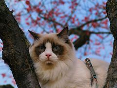 -食膳公园包子铺(烈士公园店)