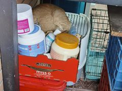 -老地方面馆(思南路店)