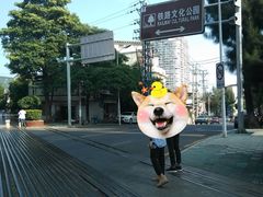 -铁路文化公园
