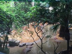 -麒麟中餐厅·经典粤菜·地道菜式老字号(广州长隆酒店)