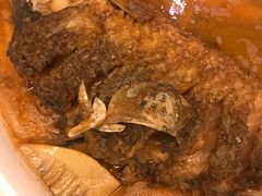 红烧黄河鲤鱼-阿五黄河大鲤鱼(纬三路店)