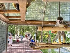 -水上乐园·欢乐世界