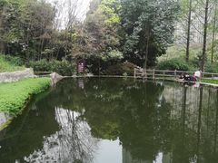 -成都市活水公园