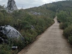 -长虫山生态公园风景林