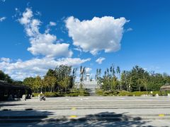 -永定河休闲森林公园