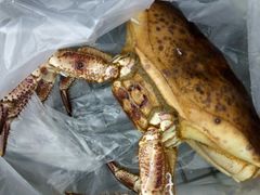 -盒马鲜生(宝地店)