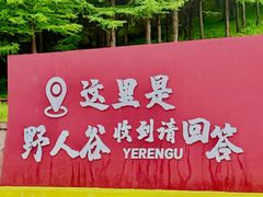 -红崖峡谷景区