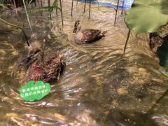 -浙江自然博物院(杭州馆)