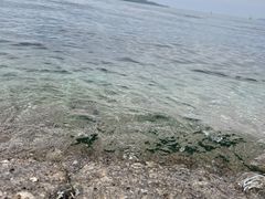 -幸福门