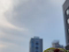 -山东大学(威海校区)