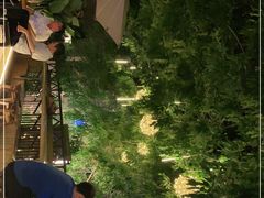 -麦落精酿啤酒餐吧(先农大院店)