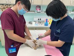 -北京观赏动物医院·24小时大型综合·猫专科·异宠专科