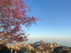 -崂山巨峰游览区