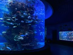 -多彩贵州城极地海洋世界