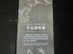 -中国西峡恐龙遗迹园
