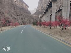 -山西通天峡景区