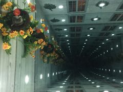 -郑州梵高星空错觉艺术馆(大上海城旗舰店)