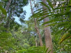 -西双版纳基诺山寨