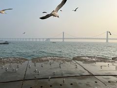 -星海广场