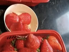 -甜心庄园·甜心草莓采摘园(西青中北店)