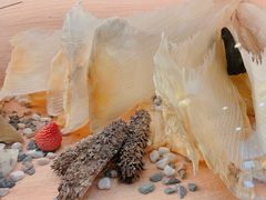 -喜上喜鸡煲翅(吉大店)