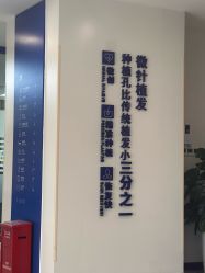 -大麦微针植发全国连锁