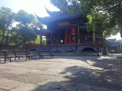 -鲁镇
