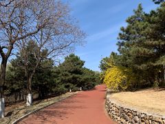 -云岗森林公园