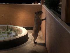 -姑苏二十四集(iD PARK 歌林公园店)