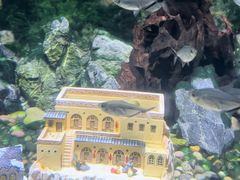 -常州海昌海洋探索馆