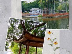 -荔湾湖公园