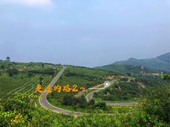 -阳台山自然风景区