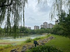-桐乡植物园