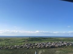 -青海湖国家重点风景名胜区