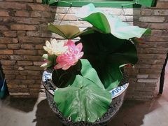 -茅炒屋龙虾·烧烤·湘菜(新河路店)