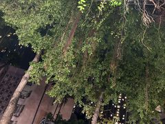 -重庆火锅水库鱼庄(南油店)