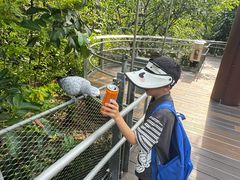 -新加坡飞禽公园