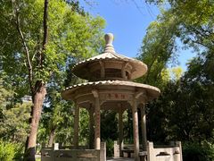 -玲珑塔公园
